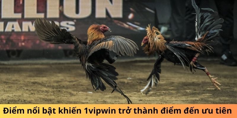 Điểm nổi bật khiến 1win trở thành điểm đến ưu tiên 